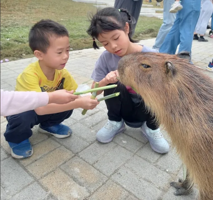 薩提爾的對話練習