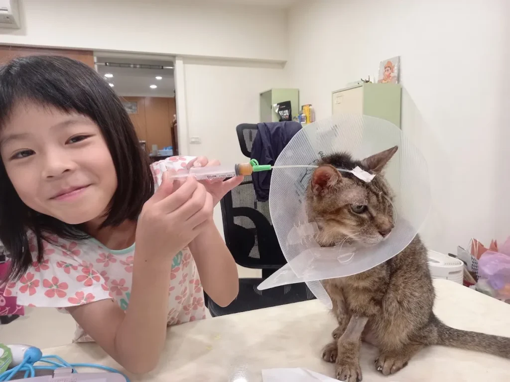 薩提爾課程系統